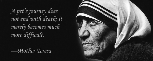Illustration for article titled 6 Beautiful Quotes To Get You Through The Death Of A Pet
